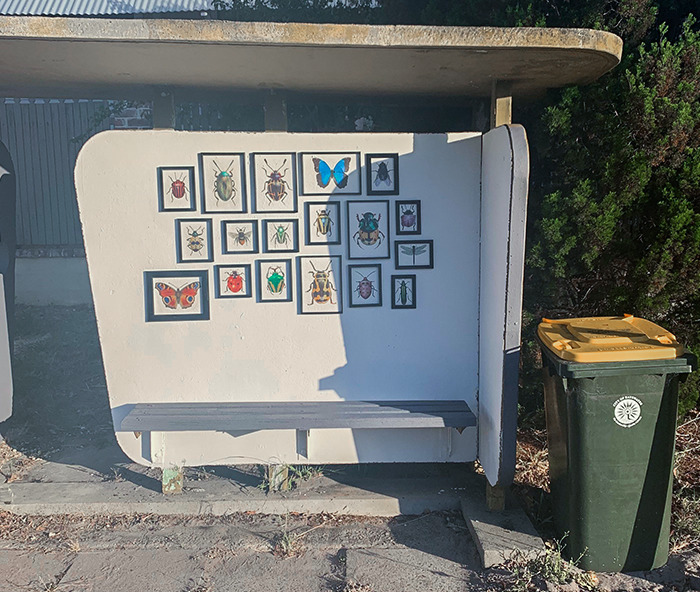 My Neighbour Redesigns Our Street’s Bus Stop Every Year. Western Australia