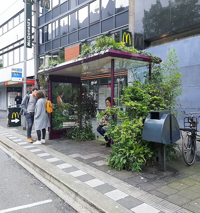 This Bus Stop