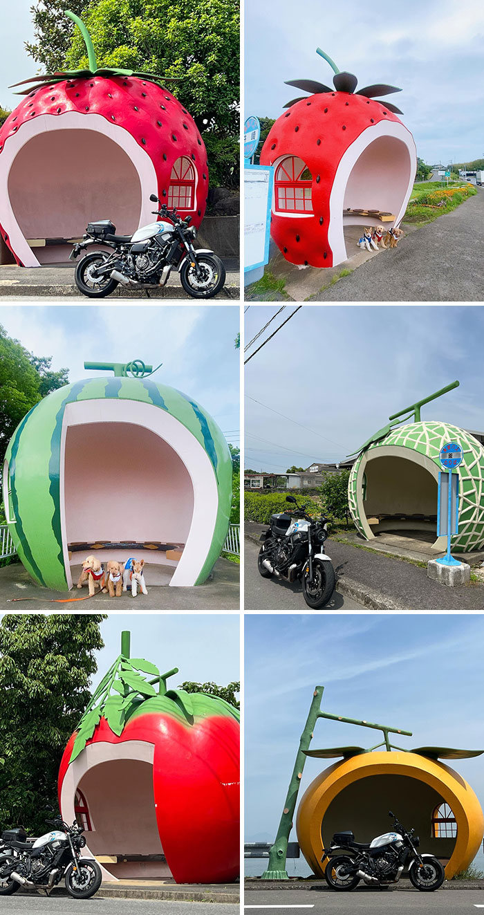 Bus Stops In Japan, Modeled After Fruits Such As Watermelon, Lemon, Strawberry, Tomato, & Muskmelon