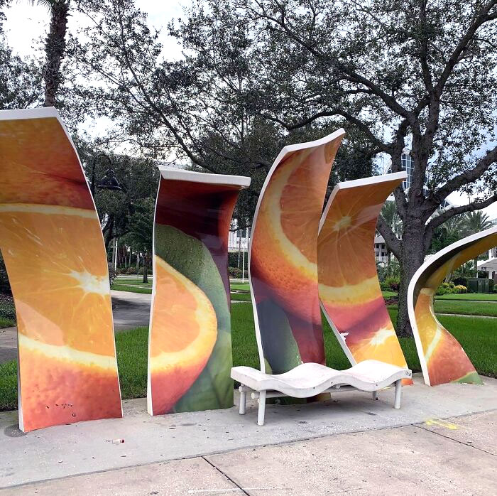 This Bus Stop Is In The Sunshine State. I Love This Salute To Florida's Citrus Legacy