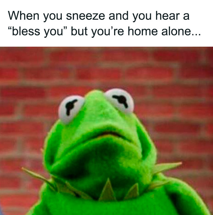 Scared Kermit meme