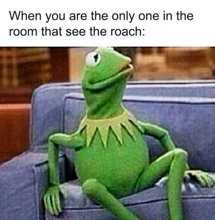 Kermit on couch meme