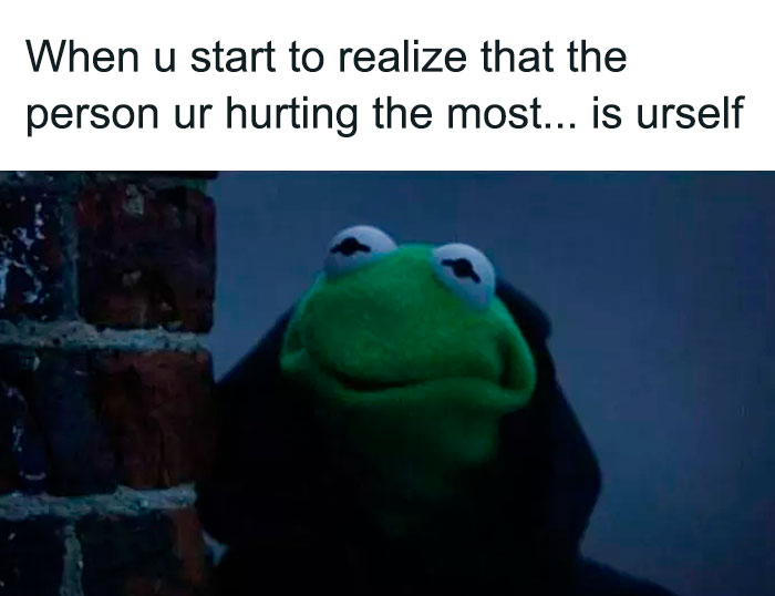 Evil Kermit the Frog meme with a caption about self-realization.