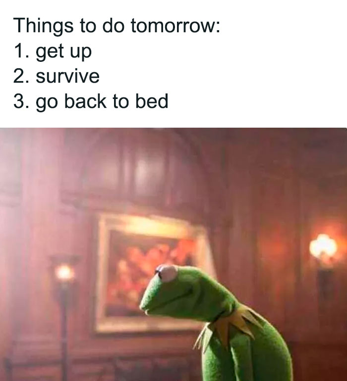 Sad Kermit meme