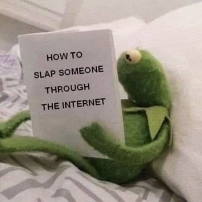 55 Kermit The Frog Memes That Might Make Your Day Bored Panda