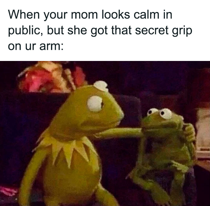 Kermit consoling Robin meme