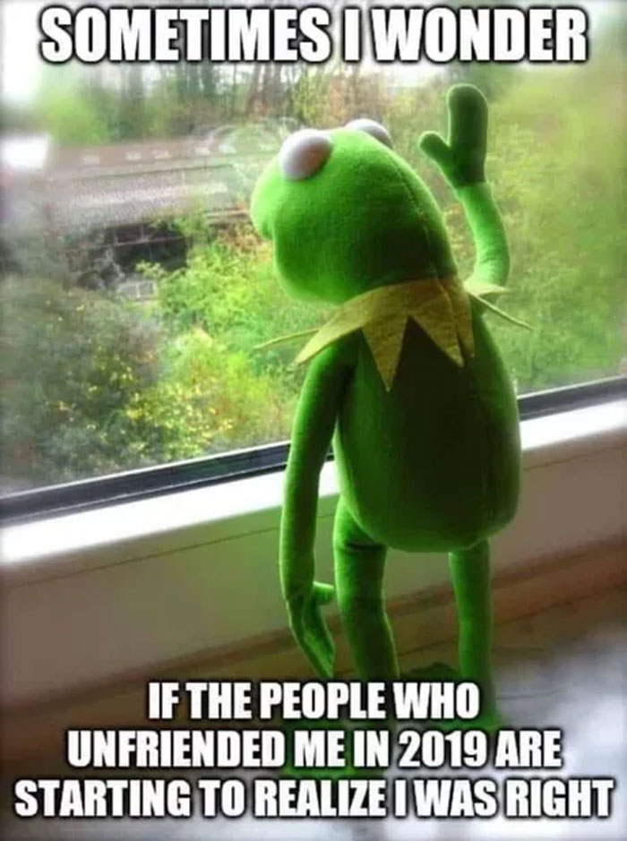 Kermit the Frog looking out a window, contemplating with text about being unfriended, in a relatable meme setting.