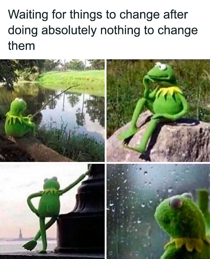 Kermit the frog contemplating memes