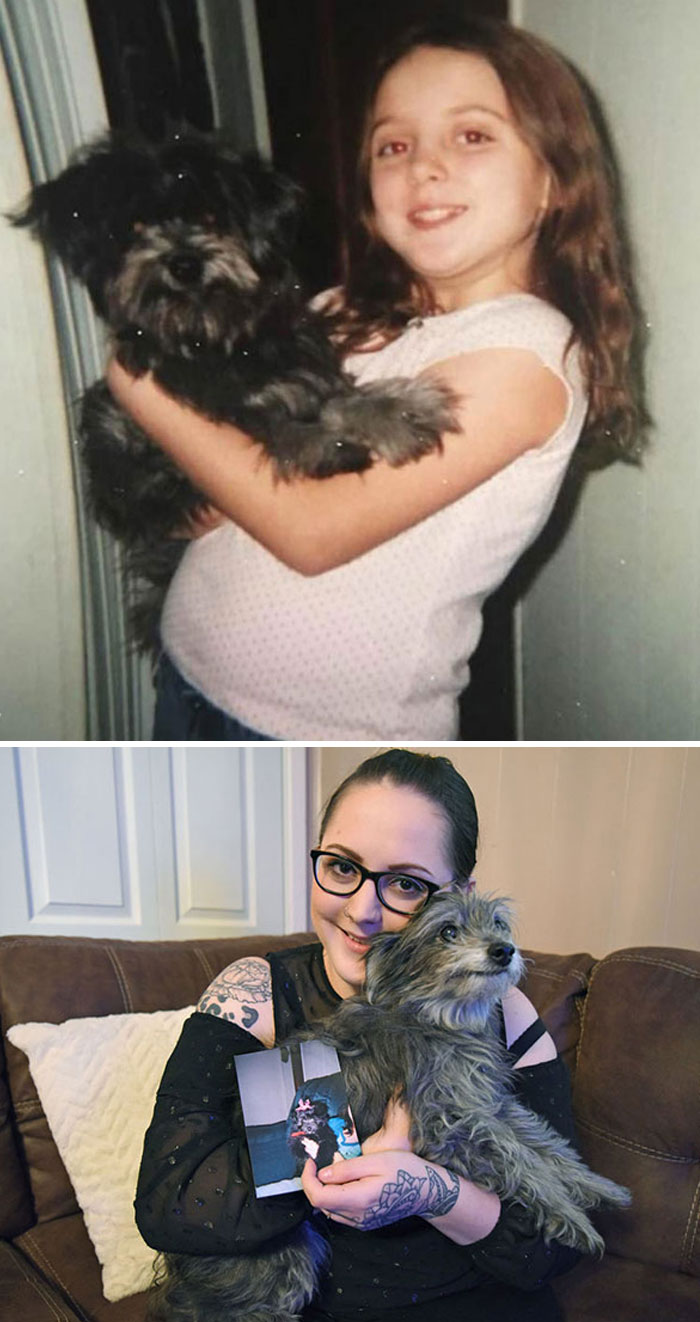Esta mujer adoptó a un perro anciano que resultó ser el mismo que tuvo en su infancia. El microchip lo confirmó