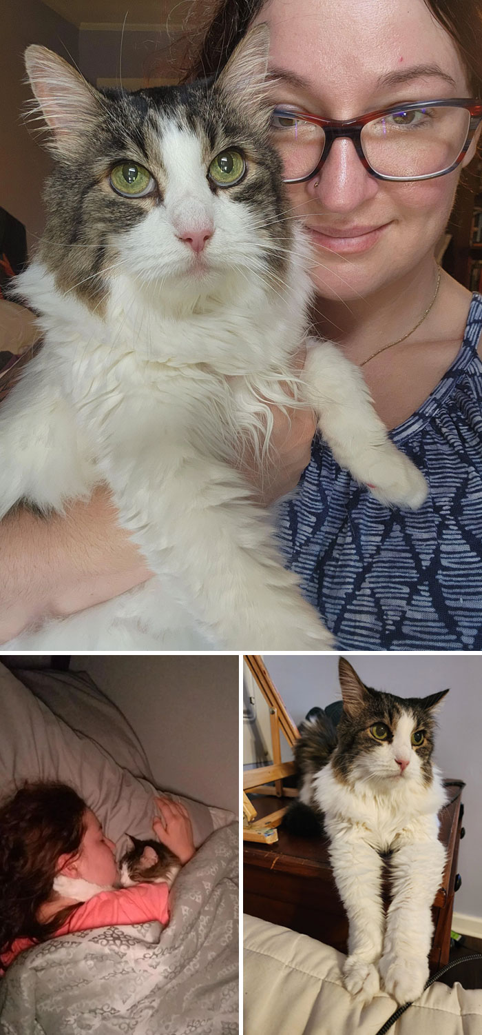 I Got Her Back After Five Years