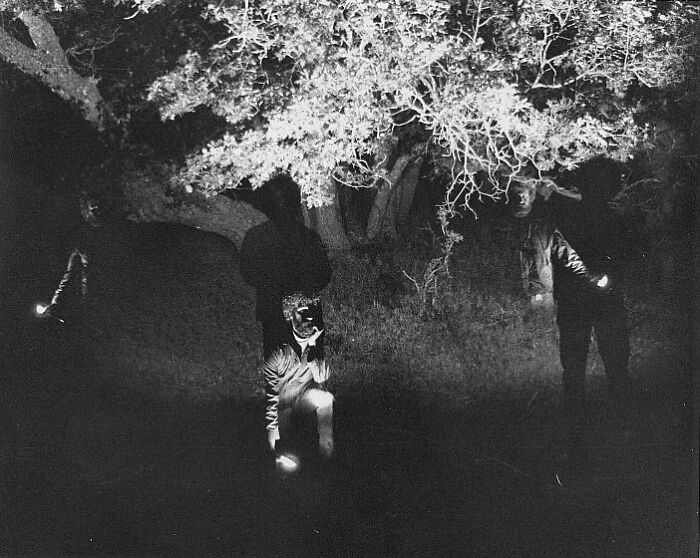 Da Wiz (No Photo Enhancing Or Editing)