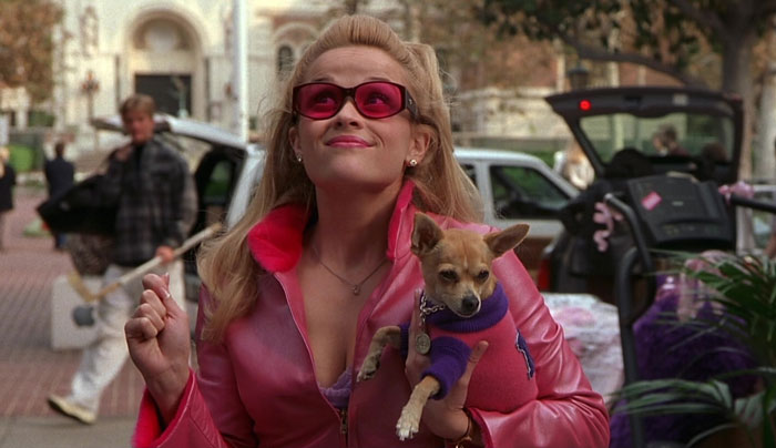 Scene from "Legally Blonde" movie