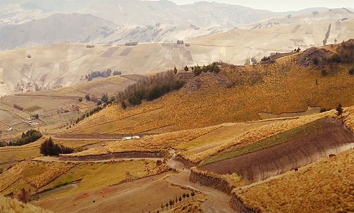 Picture of The Cotopaxi Volcano road in Ecuador