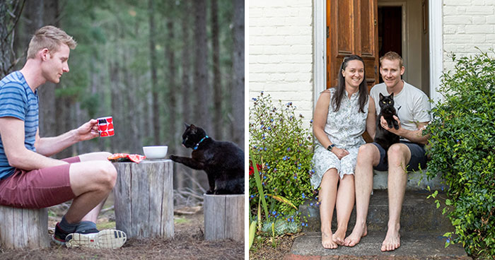 I Started Traveling Around Australia In A Campervan With My Cat Willow, And My Whole Life Changed