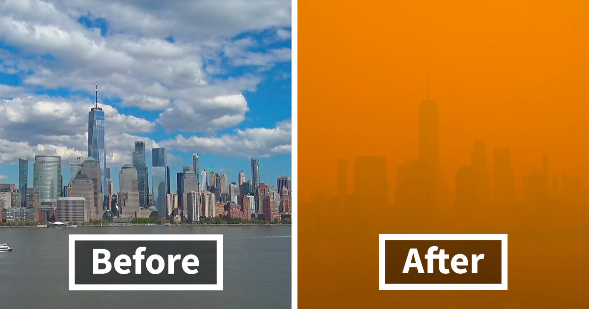 'Not An Apocalyptic Movie Scene': People Share What NYC Looks Like Right Now - Vimarsana News