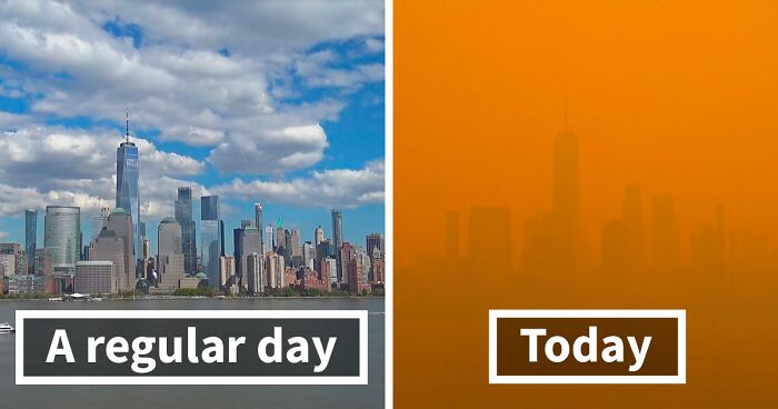 ‘Not An Apocalyptic Movie Scene’: People Share What NYC Looks Like Right Now