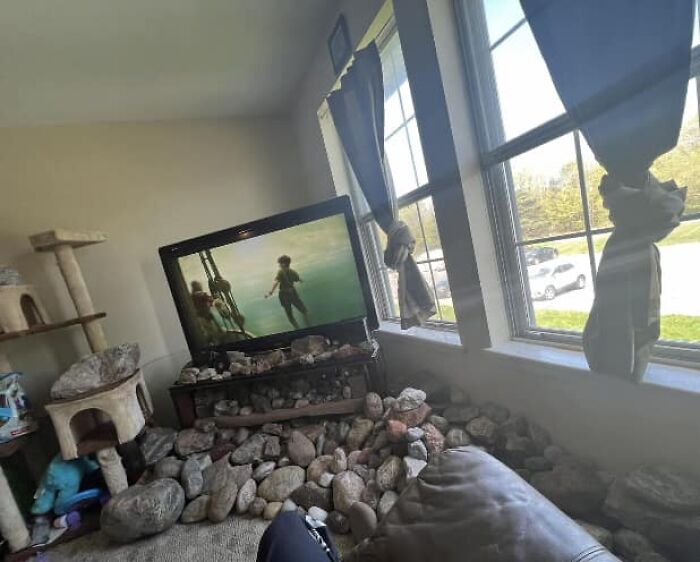 Found In Another Group, I Am Wondering How They Are Able To Clean This Set Up? Seems Like A Cool Concept, But How Are You Able To Dust And Vacuum When You Have Huge Rocks Around Your Living Room?