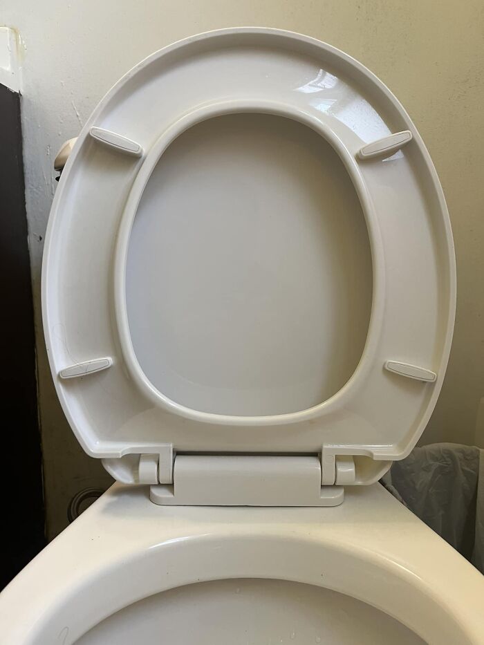 Who Tf At American Standard Thought This Was A Good Design For The Underside Of A Toilet Seat? I Seriously Wonder If They’ve Ever Cleaned A Toilet. I’m Seriously Considering [probably] Spending My Own Money To Get A Seat Sans Crevasse’s Even Though This Place Is A Rental. To Somehow Make The Design Worse, It’s A Slow-Close Yet It Doesn’t Have The Quick Releases To Clean Under The Hinge