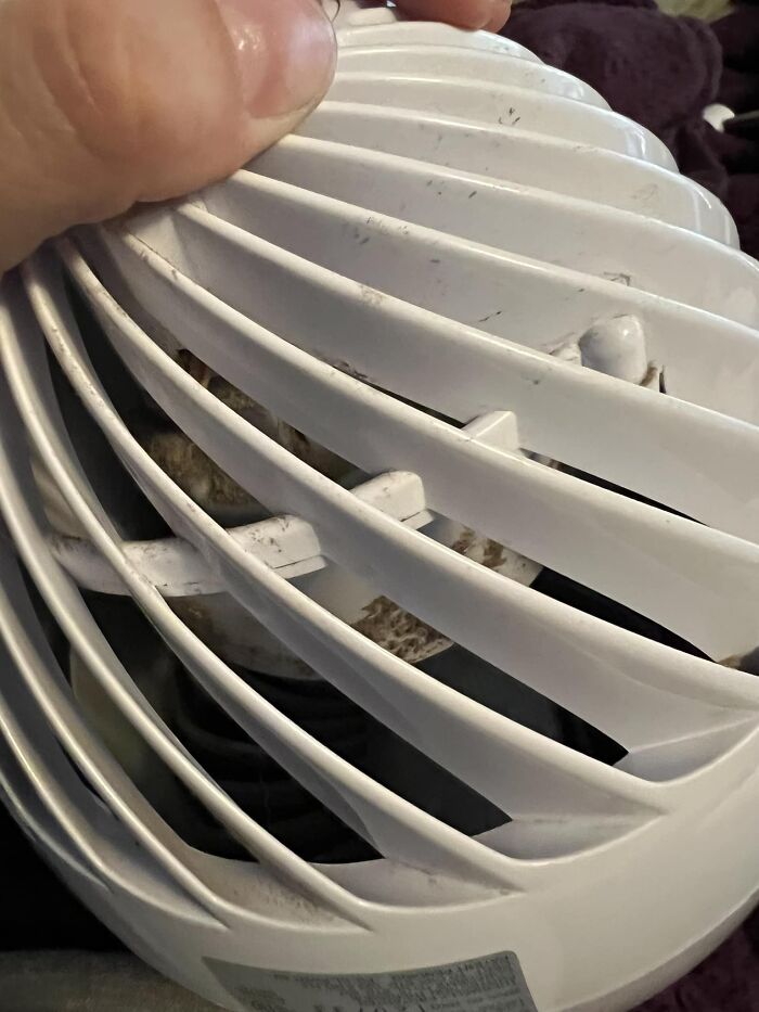 This Fan! It Less Than A Year Old And Already Has A Huge Buildup Of Dust Inside. And I Can’t Figure Out How To Take It Apart