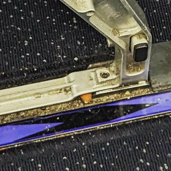 An Airplane Seat Bolted To The Plane. You Know They're Not Using The Hose On A Vacuum To Get This. They Probably Don't Even Vacuum Until They Absolutely Have To