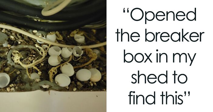 50 Of The Creepiest Things People Have Spotted In Real-Life Homes