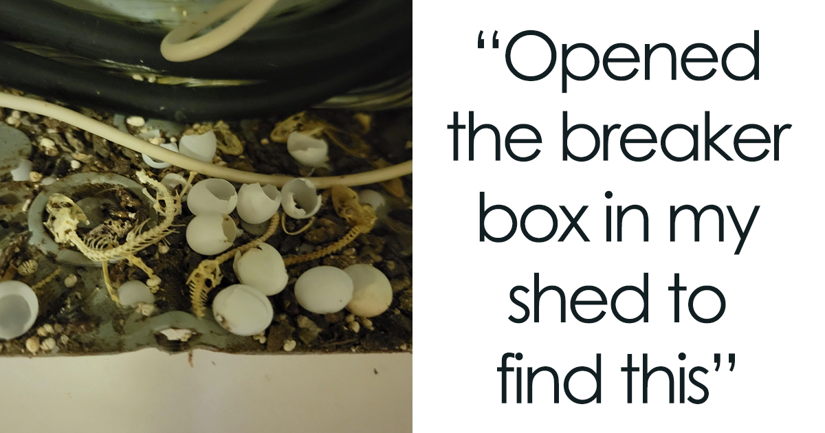 83 Of The Creepiest Things People Have Spotted In Real-Life Homes - Vimarsana News