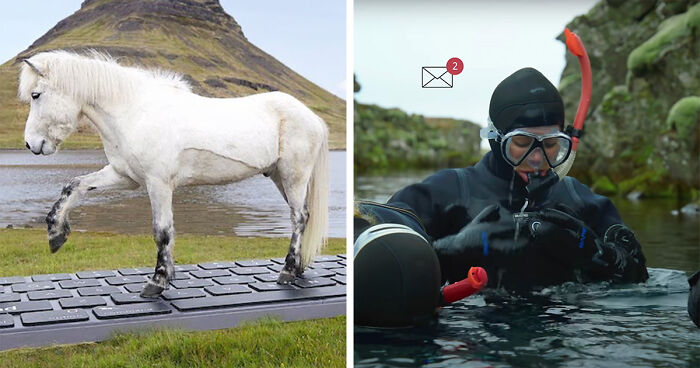 These Icelandic Horses Will Reply To Work-Related Emails On A Giant Keyboard