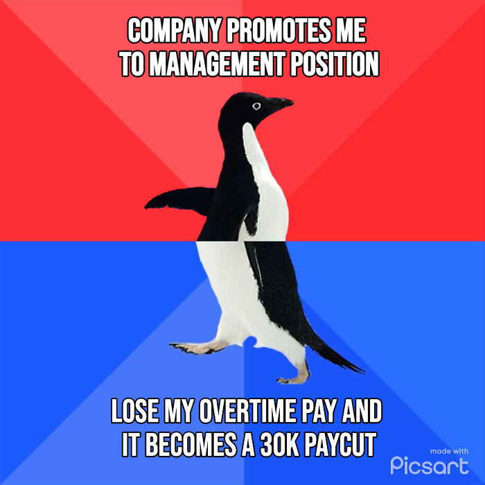 Employee Receives A Promotion That Ends Up Being $30K Less Salary, Changes Workplaces, Couldn’t Be Happier Employee Receives A Promotion That Ends Up Being $30K Less Salary, Changes Workplaces, Couldn’t Be Happier