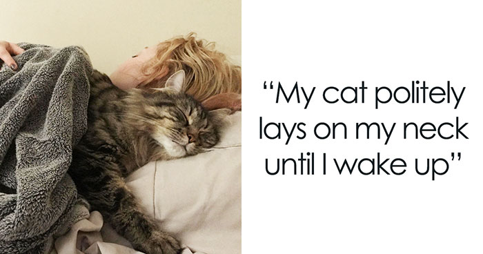 “I Have Most Of My Day Done By 8AM”: 32 People Explain Why They Wake Up At 5AM