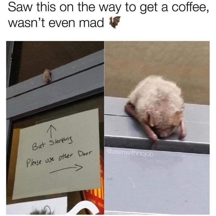 People-Share-Wholesome-Posts