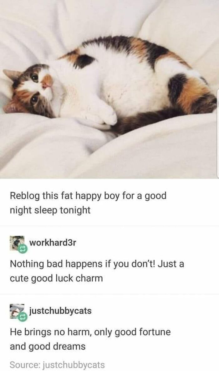 People-Share-Wholesome-Posts
