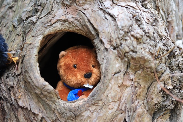 Wholesome Story Of A Dad Taking His Daughter’s Favorite Toy To Work After She Left It In The Car Wholesome Story Of A Dad Taking His Daughter’s Favorite Toy To Work After She Left It In The Car