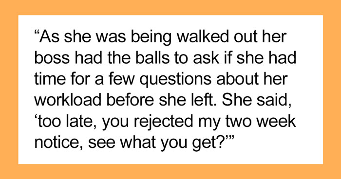 Woman Shuts Down Boss’s Curiosity About Her Outstanding Workload After He Denied Her 2-Week Notice And Fired Her On The Spot