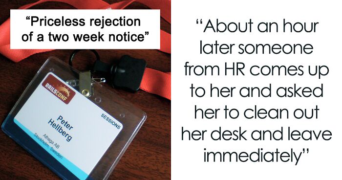Woman Shuts Down Boss’s Curiosity About Her Outstanding Workload After He Denied Her 2-Week Notice And Fired Her On The Spot
