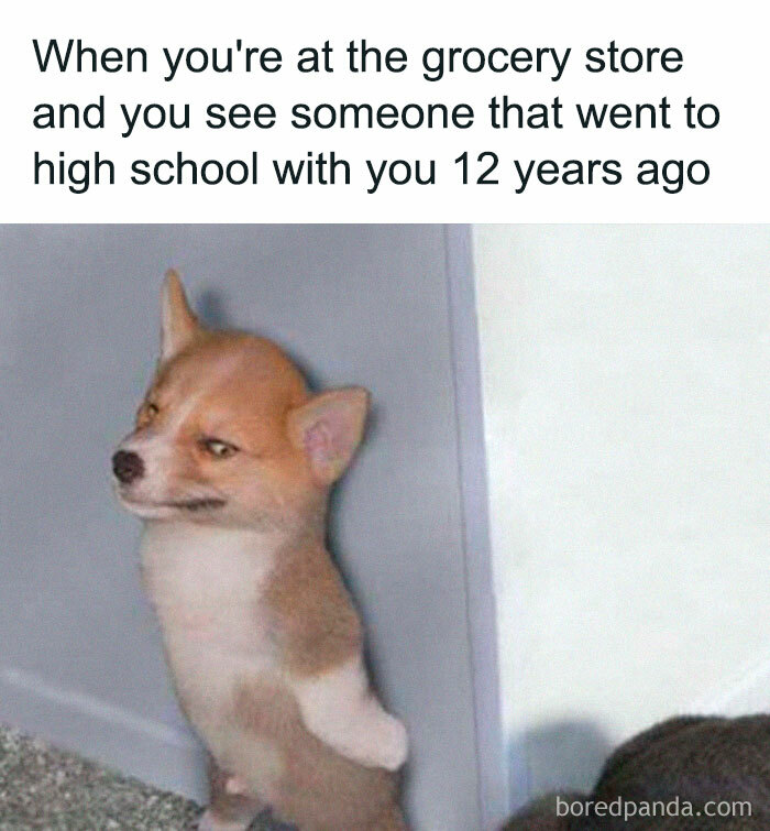 Relatable-Funny-Memes-Jokes