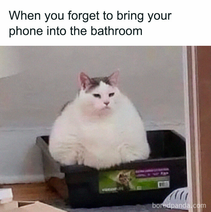 Relatable-Funny-Memes-Jokes