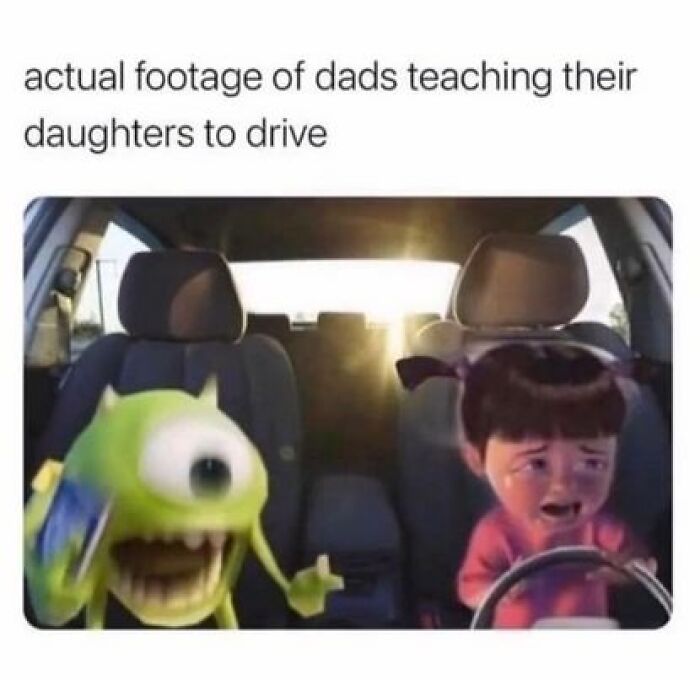 Relatable meme showing animated characters in a car, illustrating a humorous driving lesson scenario.