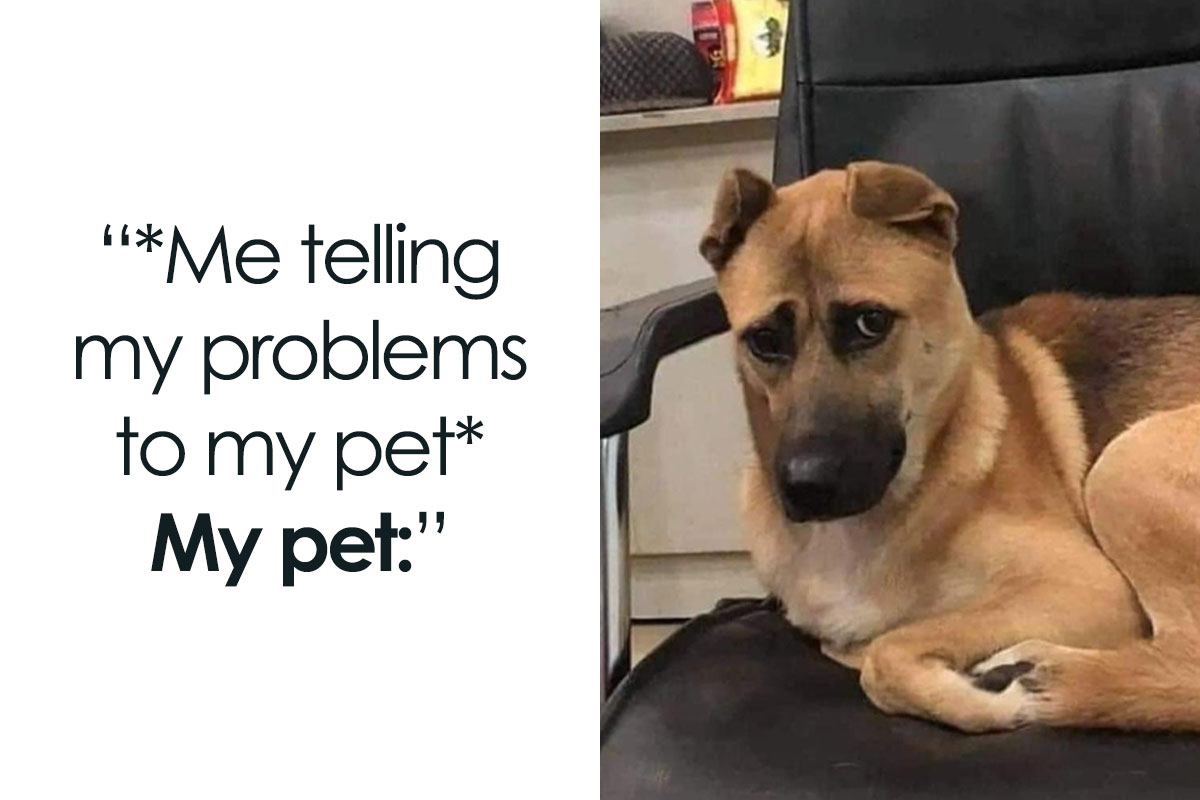 1.4 Million People Are Cracking Up At Memes Almost All Of Us Can Relate ...