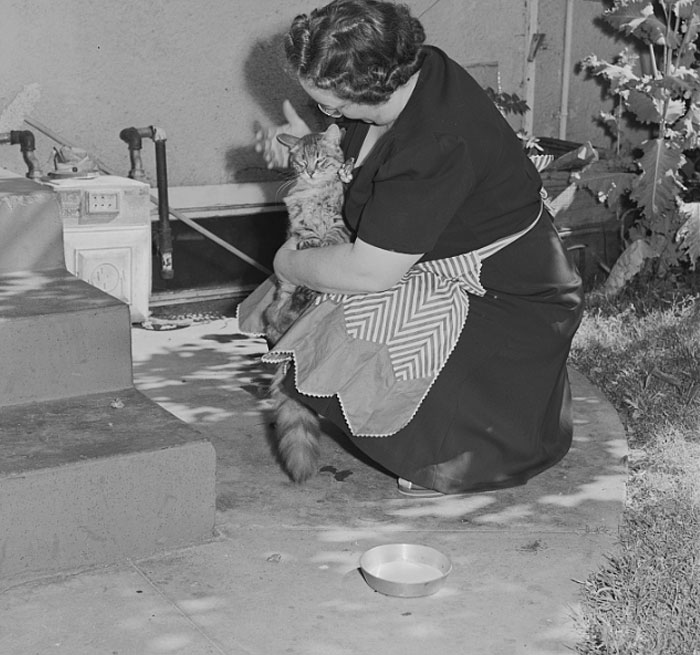 Turlock, California. Housewife With Her Pet Cat, 1942