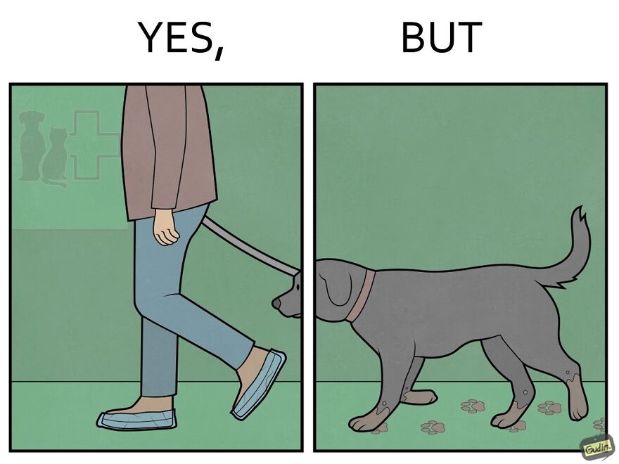 19 Comics By Artist Antоn Gudim From The "Yes, But" Series, Dedicated Exclusively To Dogs And Cats