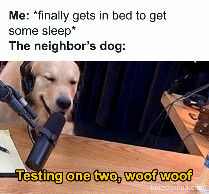 So-Basic-I-Cant-Even-Memes