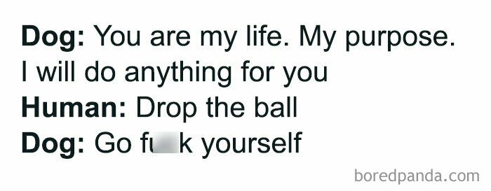 So-Basic-I-Cant-Even-Memes