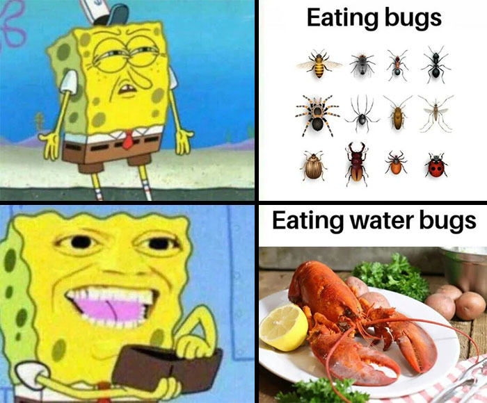 spongebob and water bugs meme