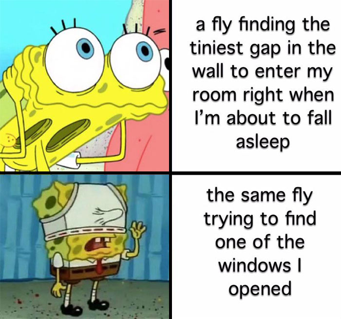 spongebob meme about the fly