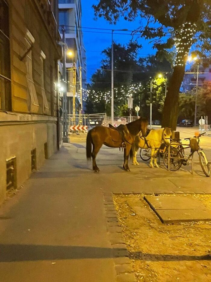 Hungary Is Not A Slavic Country, Meanwhile These Were Parked In Front Of A Pub In Budapest