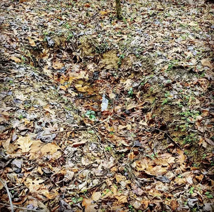 Body-Sized Shallow Hole/Grave Behind My New House. Authorities Came And Looked At It And Said It’s 'Odd, But Probably Nothing' But They Don’t Know What It Is. Said Not To Touch It Just Yet And They Will Check Their Records (Which They Said They Already Did). So Now I’m Just Waiting Until They Come Back