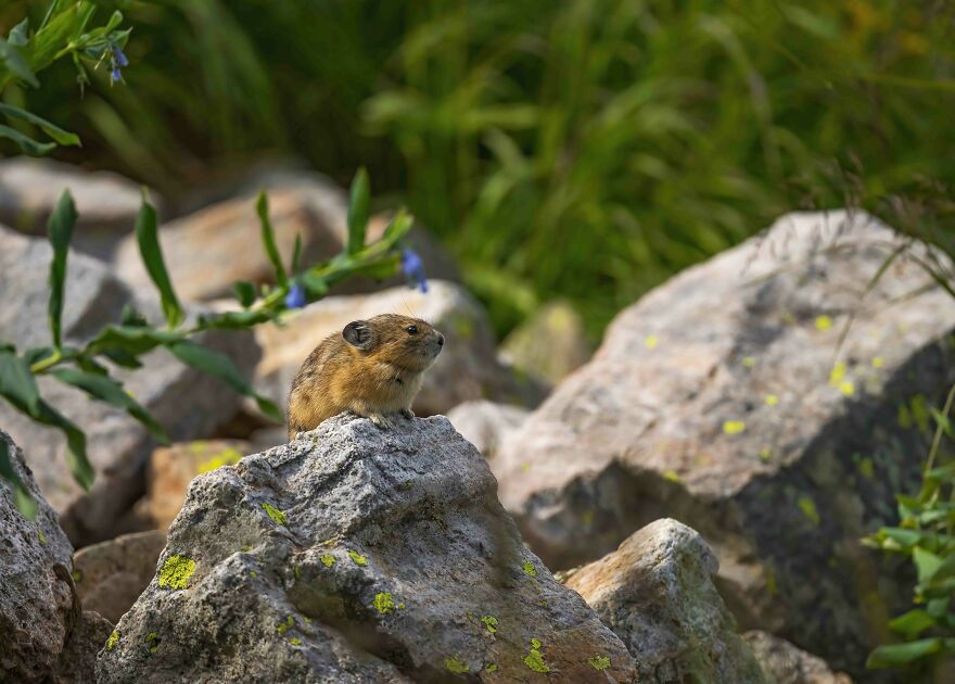 Chillin' Out On A Summer Afternoon