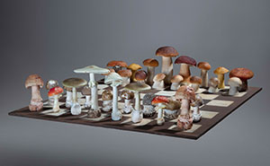To Celebrate The Beauty Of Nature, I Create Mushroom Flatlays Curated Straight From The Woods (40 Pics)