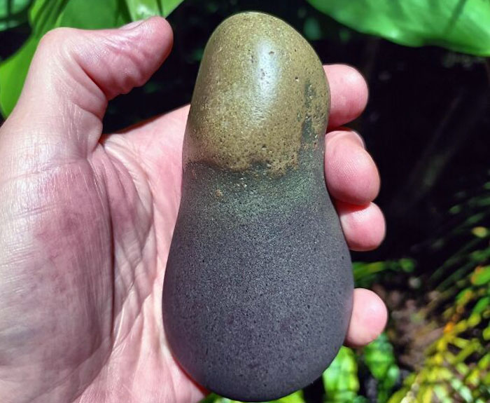 This Rock I Found Resembles An Eggplant