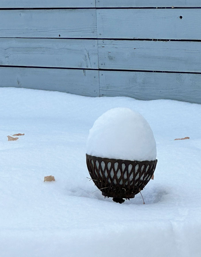 The Snowfall On This Empty Planter Looks Like A Perfect Egg Cup